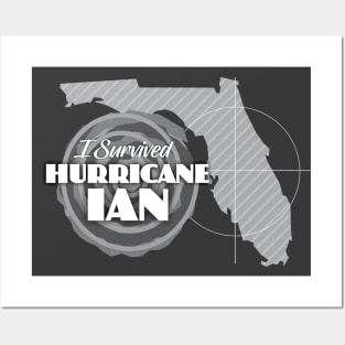 I Survived Hurricane Ian Posters and Art